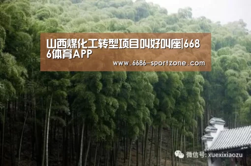 山西煤化工转型项目叫好叫座|6686体育APP(图1) 6686体育