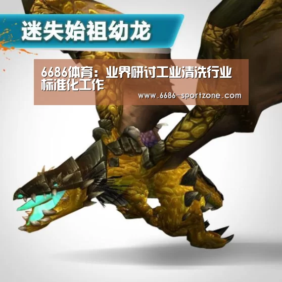 6686体育:业界研讨工业清洗行业标准化工作(图3) 6686电竞官网