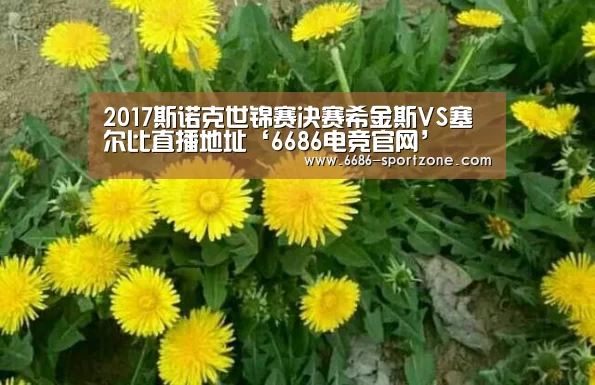 6686电竞官网